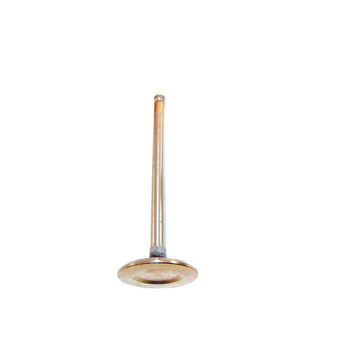 Exhaust / Intake Valve Kit