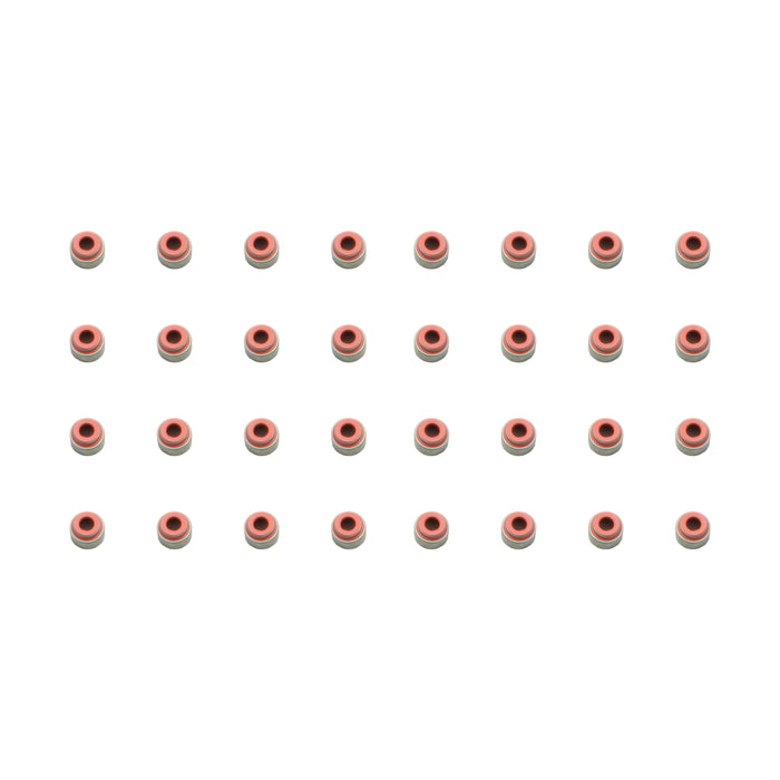 Valve Stem Oil Seal Set