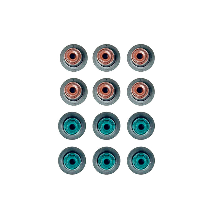 Valve Stem Oil Seal Set