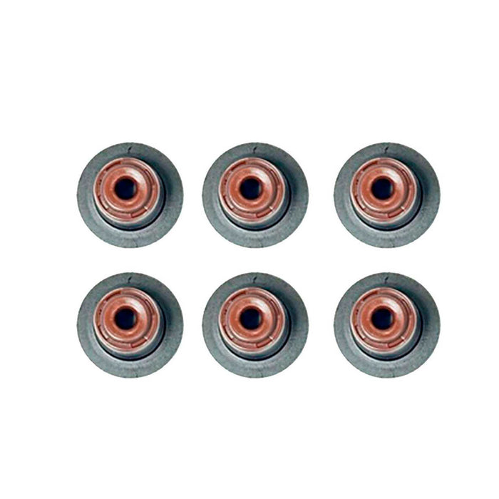 Valve Stem Oil Seal Set