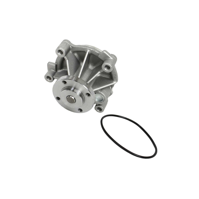 Timing Chain Kit with Water
