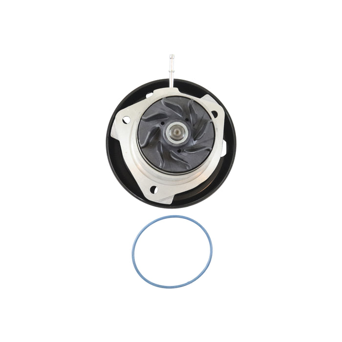 Timing Chain Kit With Water