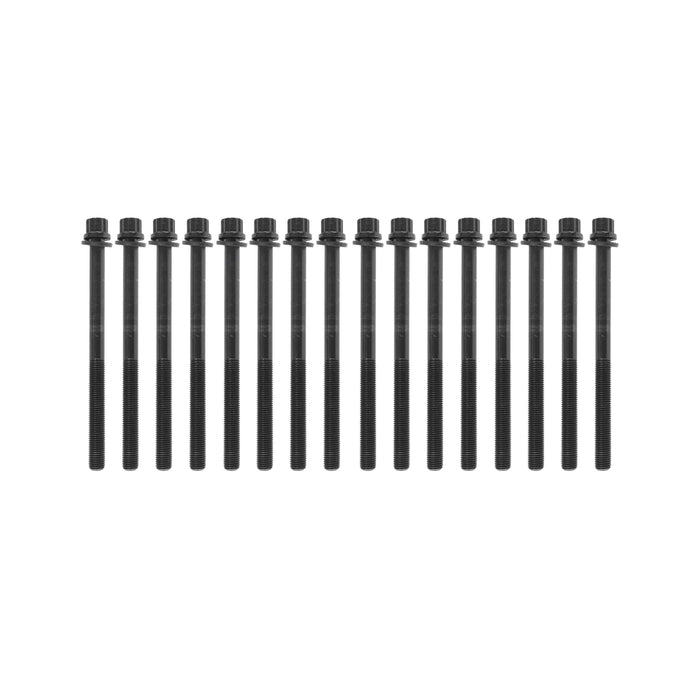 Head Gasket Set w/ Head Bolts