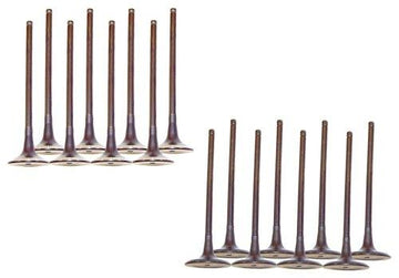 06-16 Hyundai Kia 2.0L-2.4L Intake and Exhaust Valve Set