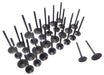 01-14 Nissan Suzuki Infiniti 3.5L-5.6L Intake and Exhaust Valve Set