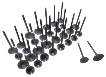 01-14 Nissan Suzuki Infiniti 3.5L-5.6L Intake and Exhaust Valve Set