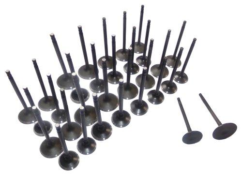 01-14 Nissan Suzuki Infiniti 3.5L-5.6L Intake and Exhaust Valve Set