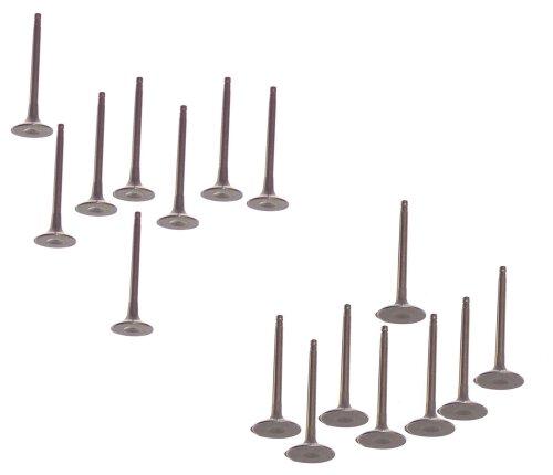 02-17 Nissan Suzuki 2.5L Intake and Exhaust Valve Set