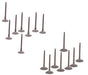 02-17 Nissan Suzuki 2.5L Intake and Exhaust Valve Set