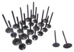 01-14 Nissan Suzuki Infiniti 3.5L-5.6L Intake and Exhaust Valve Set