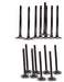 02-04 Ford 2.0L Intake and Exhaust Valve Set EV459 X8 IV459 X8 BOX X16