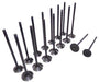 99-02 Daewoo 1.6L Intake and Exhaust Valve Set