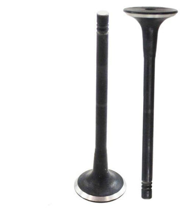 05-15 Audi Volkswagen 1.8L-3.2L L4 V6 L5 Exhaust Valve EV814