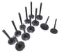 93-06 Volkswagen Audi 2.0L-2.8L Intake and Exhaust Valve Set