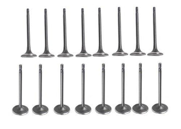 13-17 Infiniti Nissan 2.5L Intake and Exhaust Valve Set