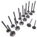05-15 Audi Volkswagen 2.0L-4.2L Intake and Exhaust Valve Set