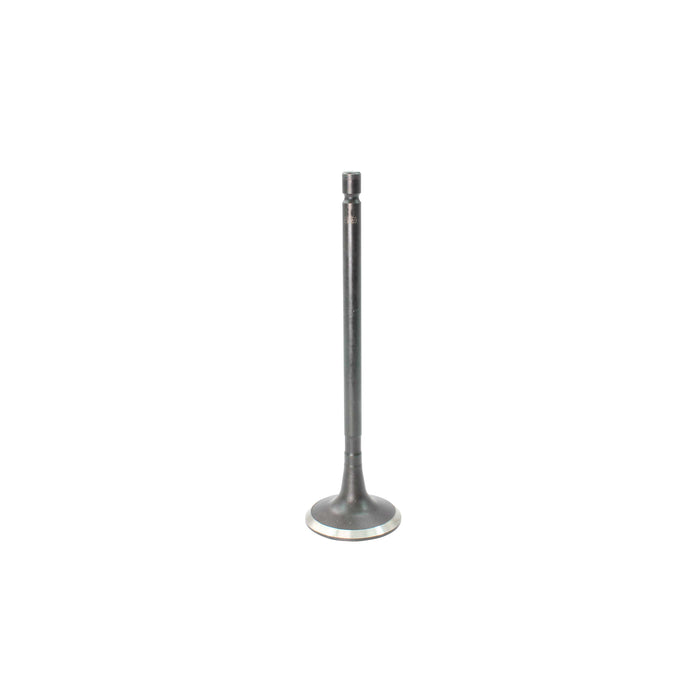 Exhaust Valve