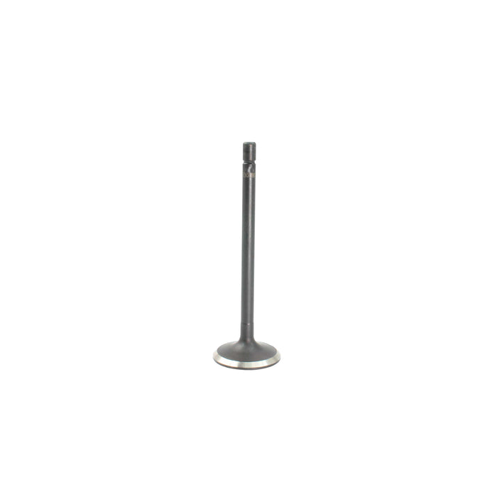 Exhaust Valve