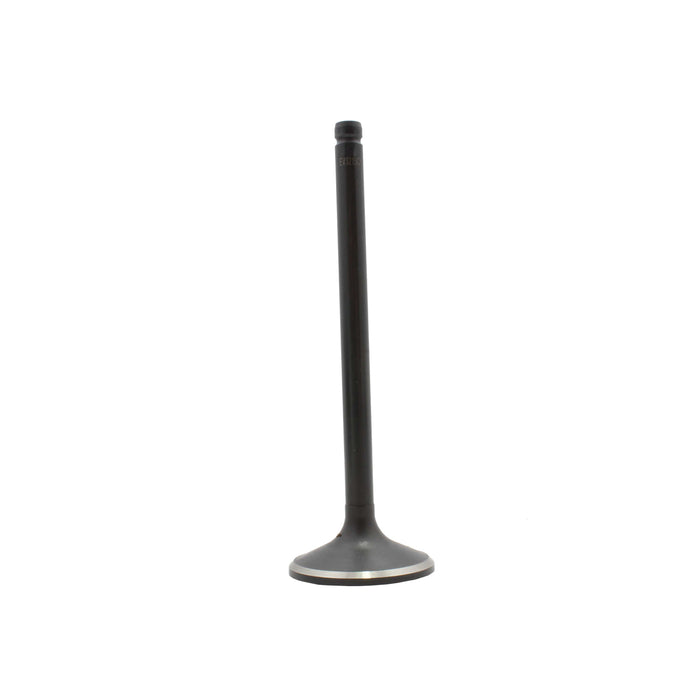 Exhaust Valve