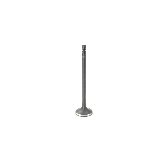 Exhaust Valve