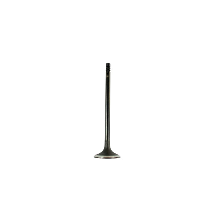 Exhaust Valve