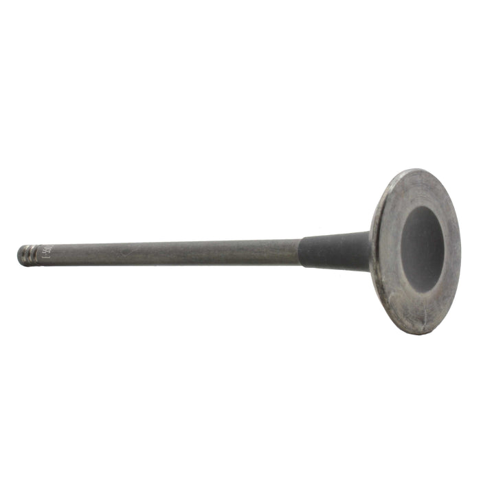 Exhaust Valve