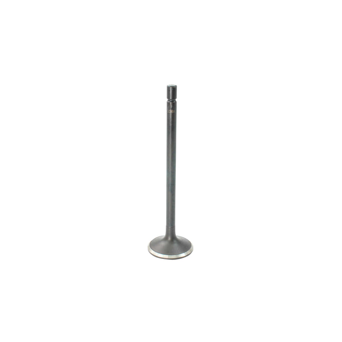 Exhaust Valve