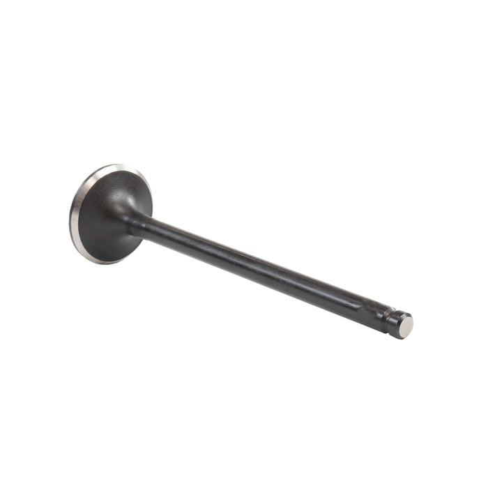 Exhaust Valve