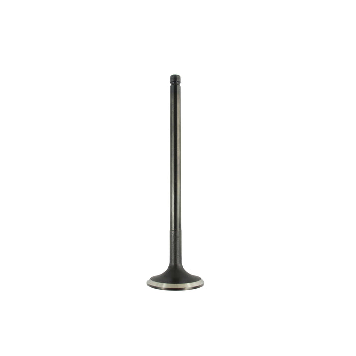Exhaust Valve