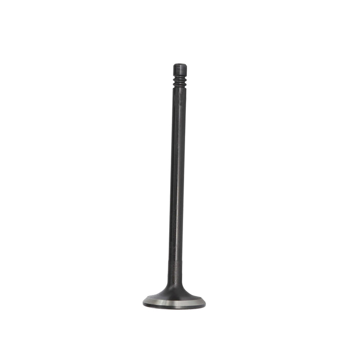 Exhaust Valve