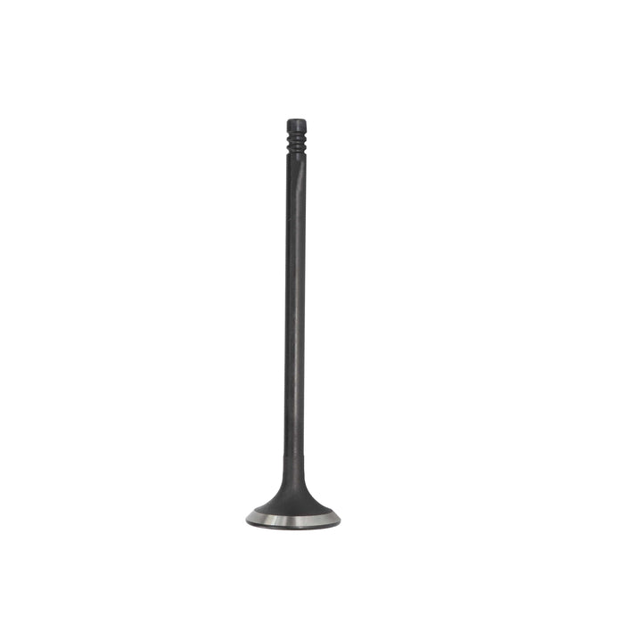 Exhaust Valve