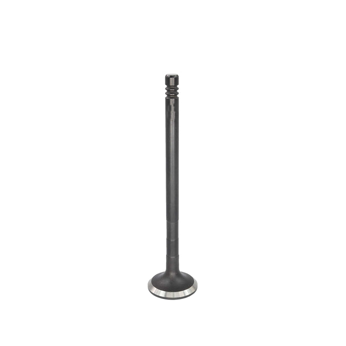 Exhaust / Intake Valve Kit