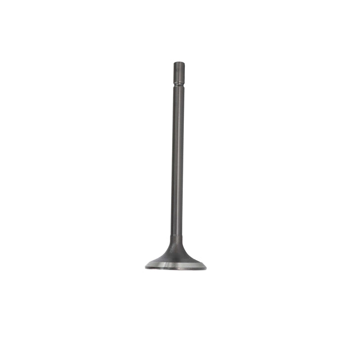 Exhaust Valve