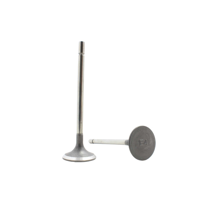 Exhaust Valve