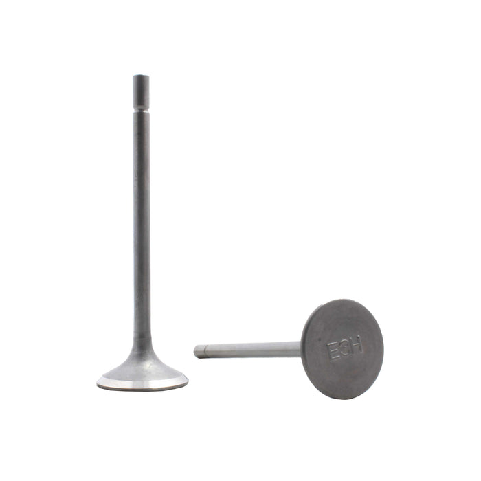 Exhaust Valve