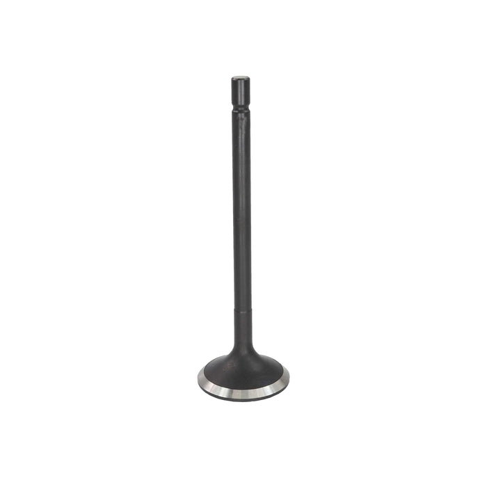 Exhaust Valve