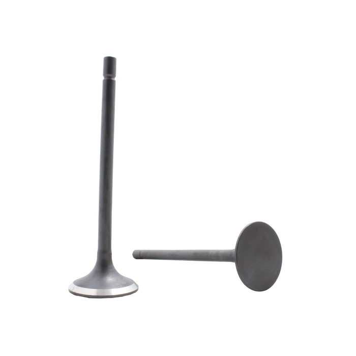 Exhaust Valve