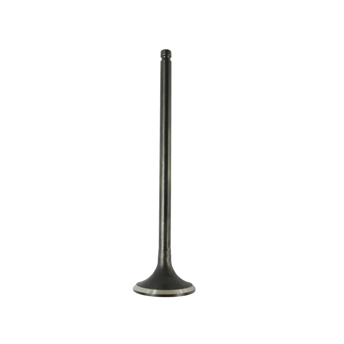 Exhaust Valve