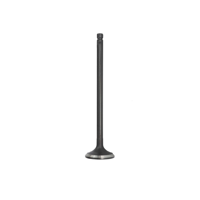 Exhaust Valve