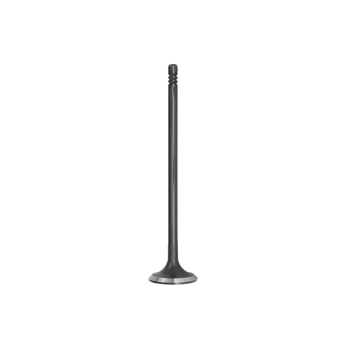 Exhaust Valve