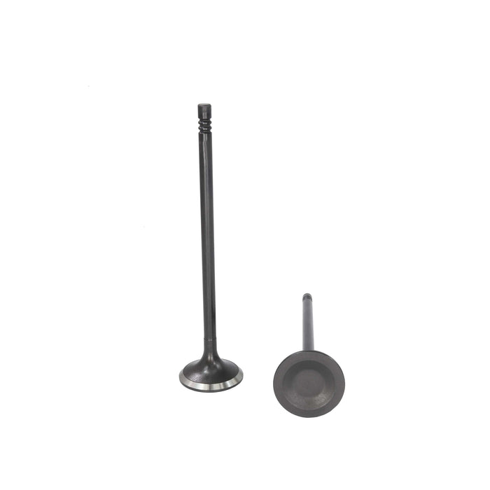 Exhaust Valve
