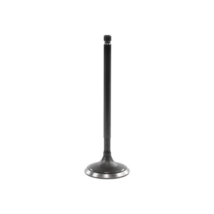 Exhaust / Intake Valve Kit