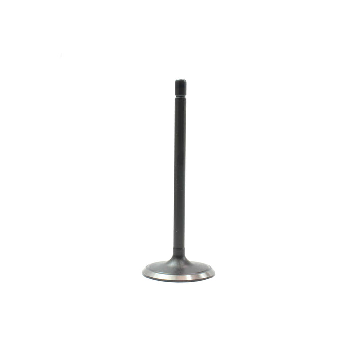 Intake Valve
