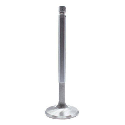 Intake Valve