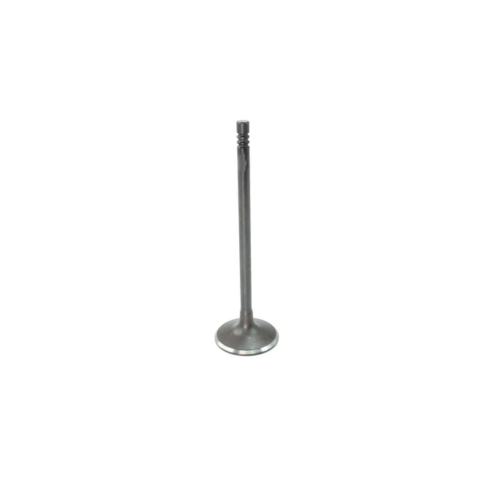 Intake Valve