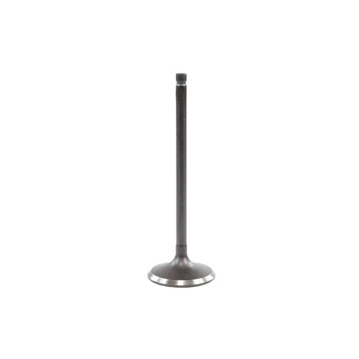 Exhaust / Intake Valve Kit