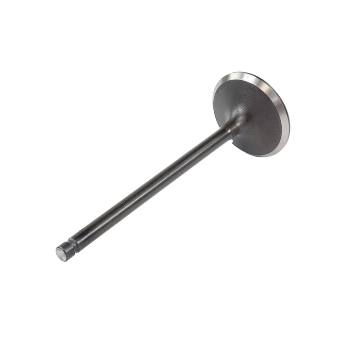 Intake Valve