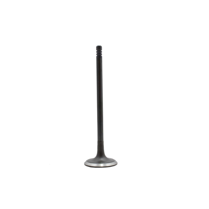 Exhaust / Intake Valve Kit