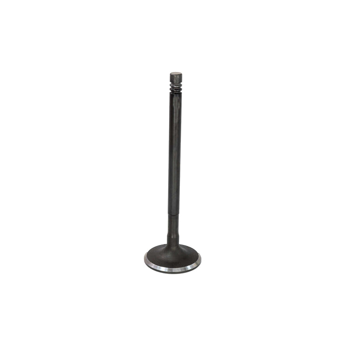 Exhaust / Intake Valve Kit