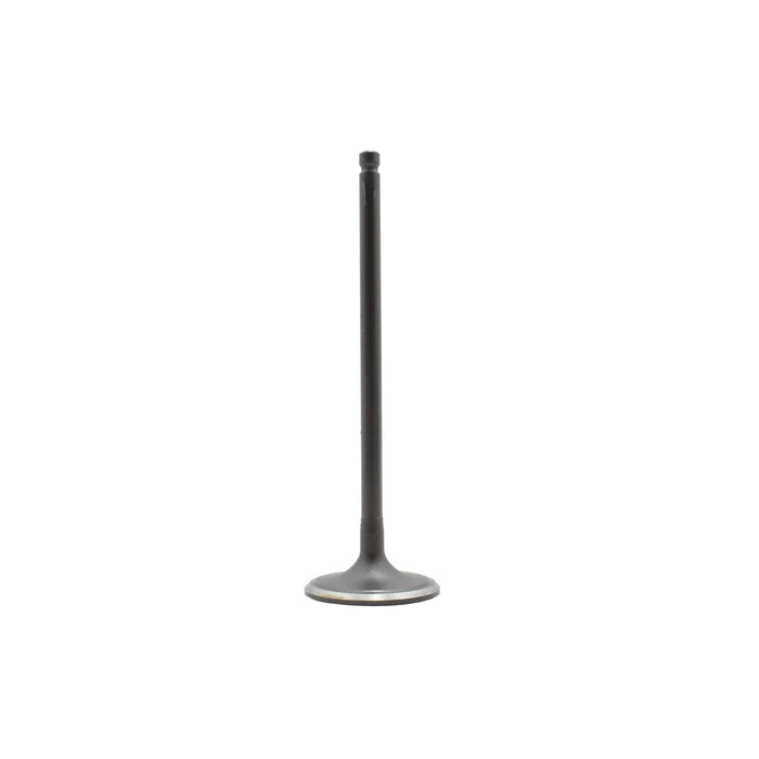 Exhaust / Intake Valve Kit